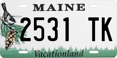 ME license plate 2531TK