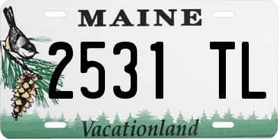ME license plate 2531TL