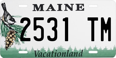 ME license plate 2531TM