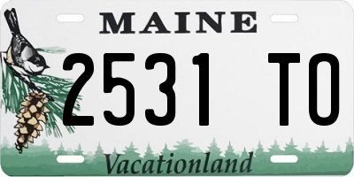 ME license plate 2531TO