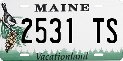 ME license plate 2531TS