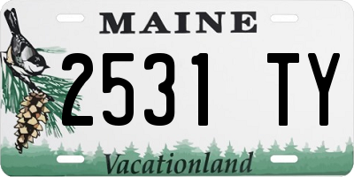 ME license plate 2531TY