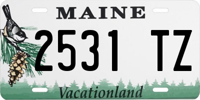 ME license plate 2531TZ