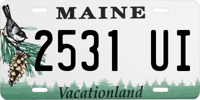 ME license plate 2531UI