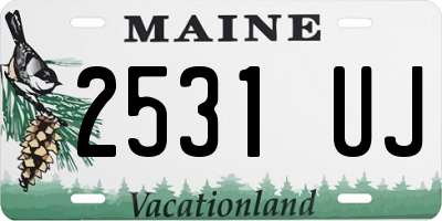 ME license plate 2531UJ