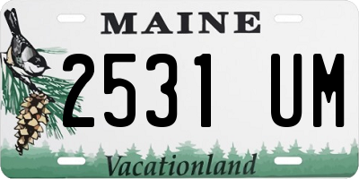 ME license plate 2531UM