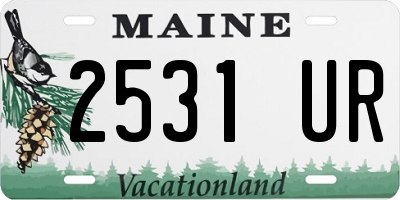 ME license plate 2531UR