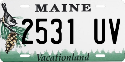 ME license plate 2531UV