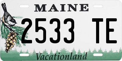 ME license plate 2533TE