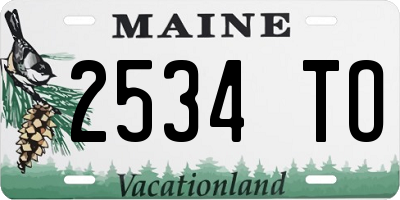 ME license plate 2534TO