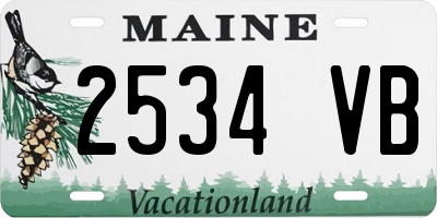 ME license plate 2534VB