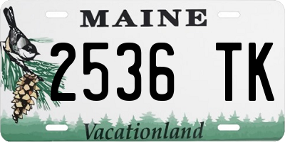 ME license plate 2536TK