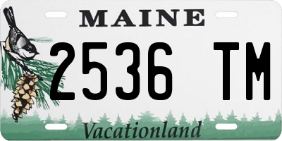 ME license plate 2536TM