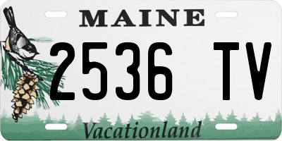 ME license plate 2536TV