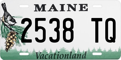 ME license plate 2538TQ