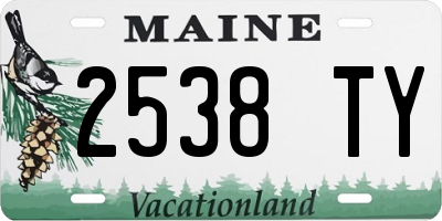 ME license plate 2538TY