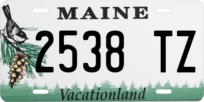 ME license plate 2538TZ