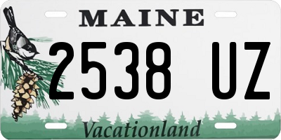 ME license plate 2538UZ