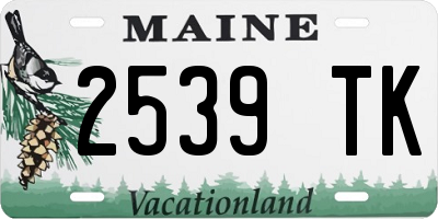 ME license plate 2539TK