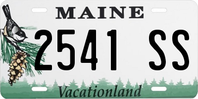 ME license plate 2541SS