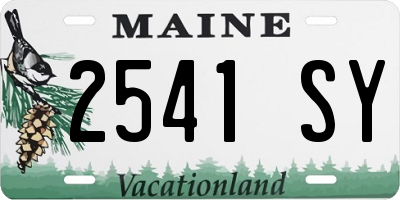 ME license plate 2541SY