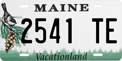 ME license plate 2541TE