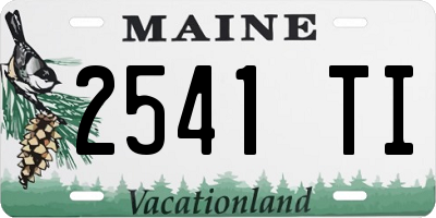 ME license plate 2541TI