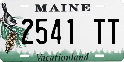 ME license plate 2541TT
