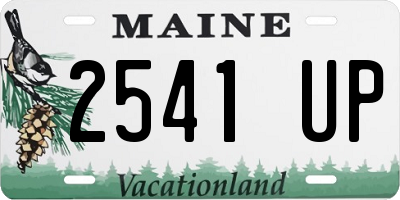 ME license plate 2541UP