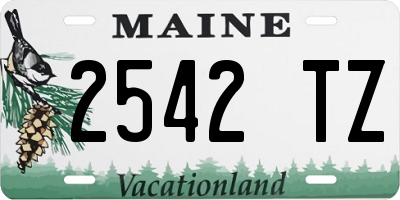 ME license plate 2542TZ