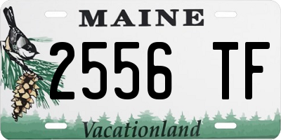 ME license plate 2556TF