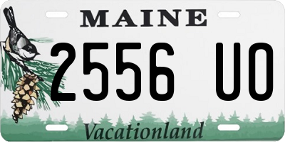 ME license plate 2556UO