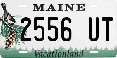 ME license plate 2556UT