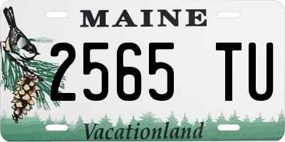 ME license plate 2565TU