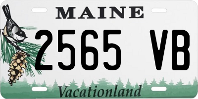 ME license plate 2565VB