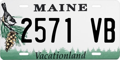 ME license plate 2571VB
