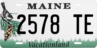 ME license plate 2578TE