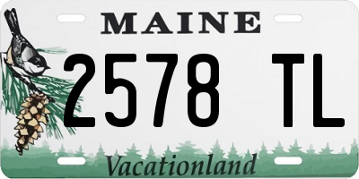 ME license plate 2578TL