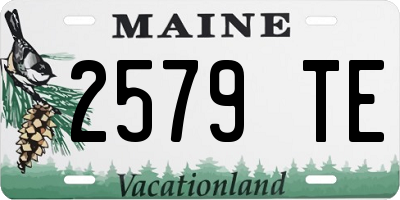 ME license plate 2579TE