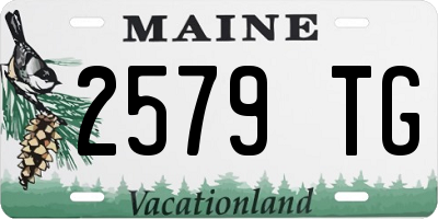 ME license plate 2579TG