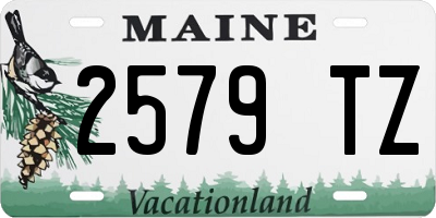 ME license plate 2579TZ