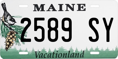 ME license plate 2589SY