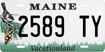 ME license plate 2589TY