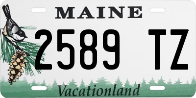 ME license plate 2589TZ
