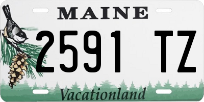 ME license plate 2591TZ