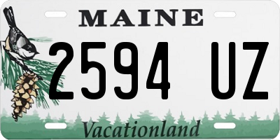 ME license plate 2594UZ