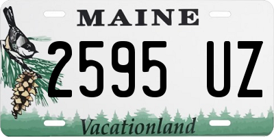 ME license plate 2595UZ