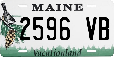 ME license plate 2596VB