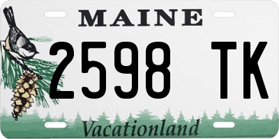 ME license plate 2598TK