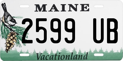 ME license plate 2599UB